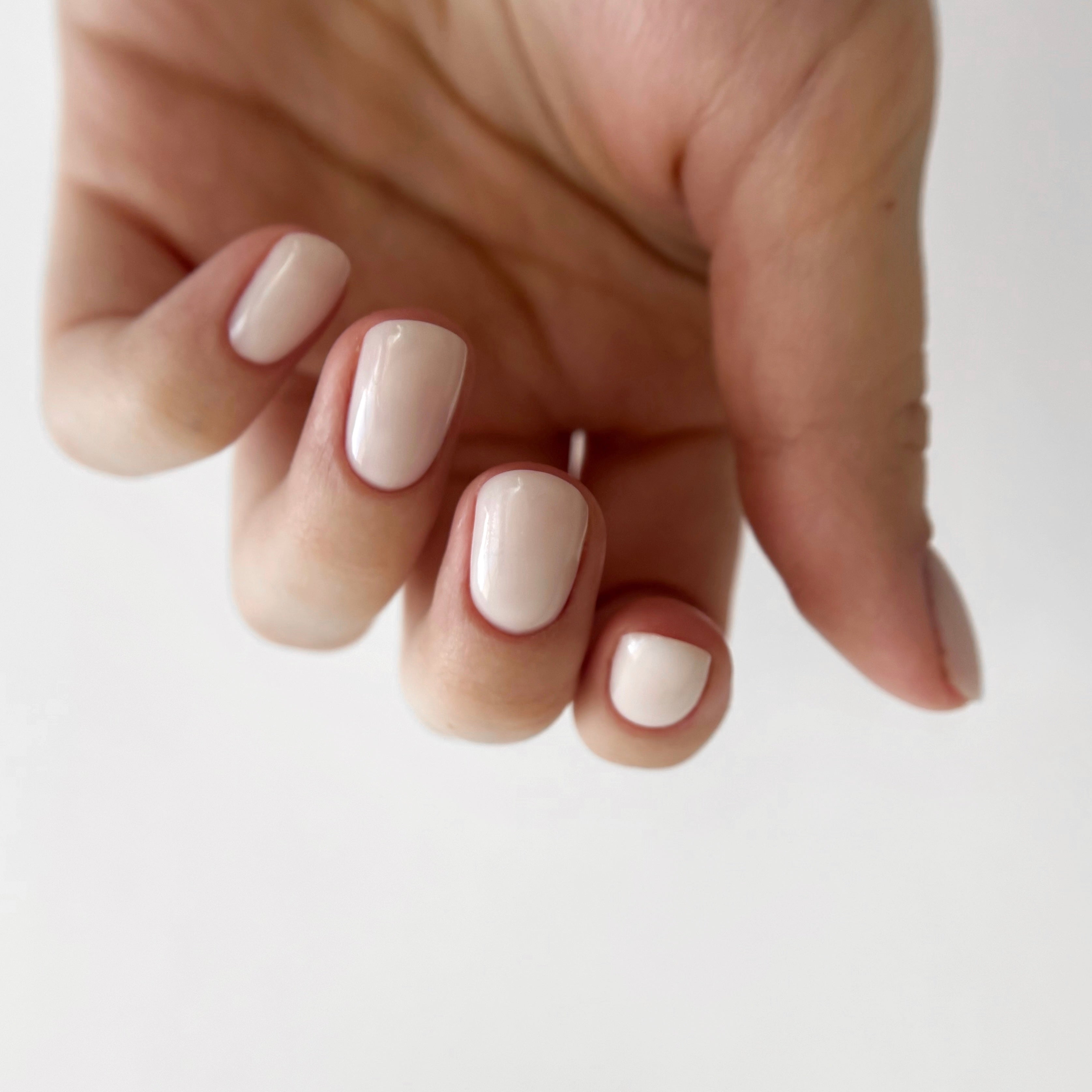 HARD BASE, BLANC