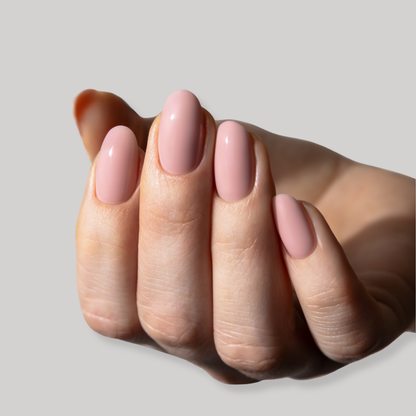 GUMMY BASE, FRENCH TOAST