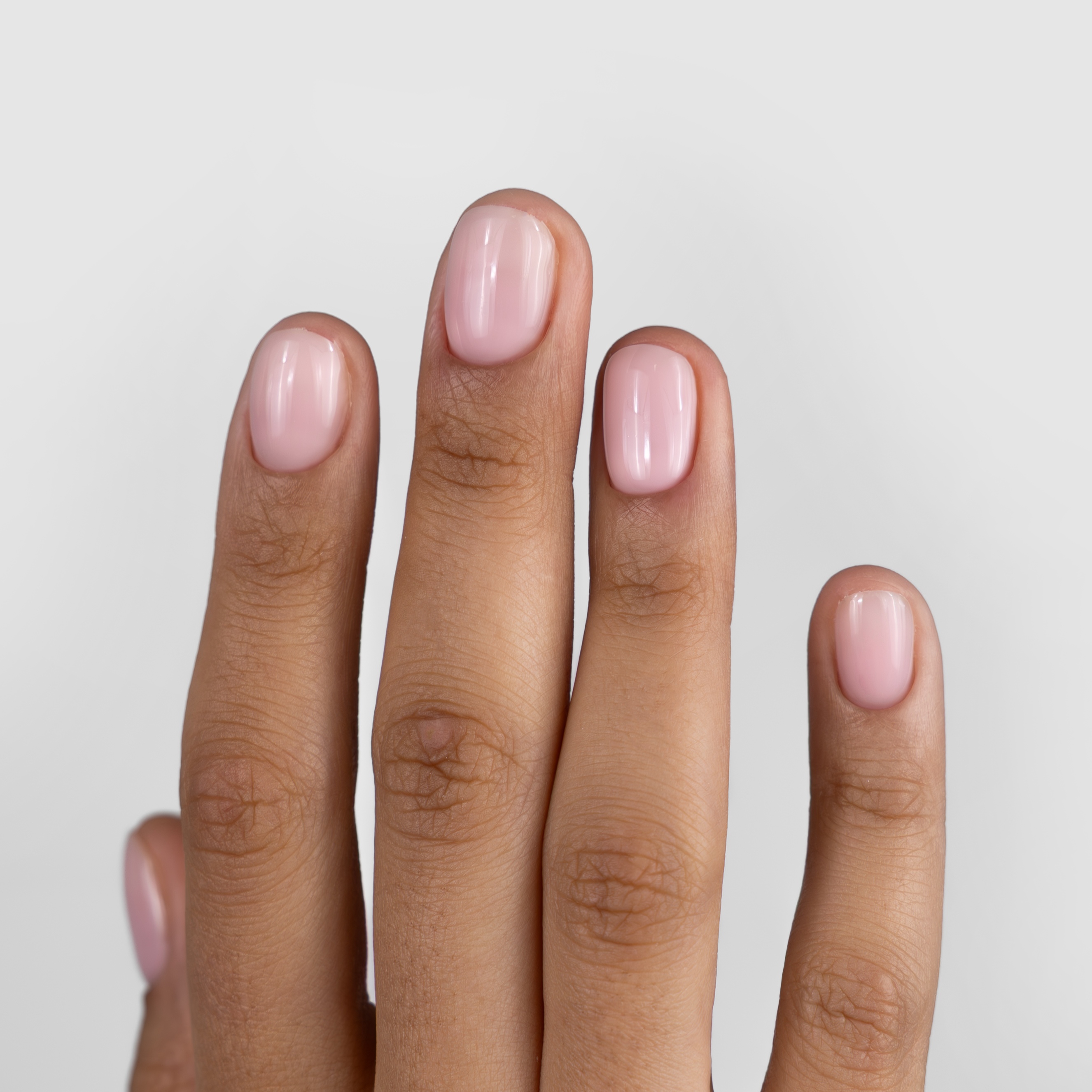 GUMMY BASE, LA GLACE