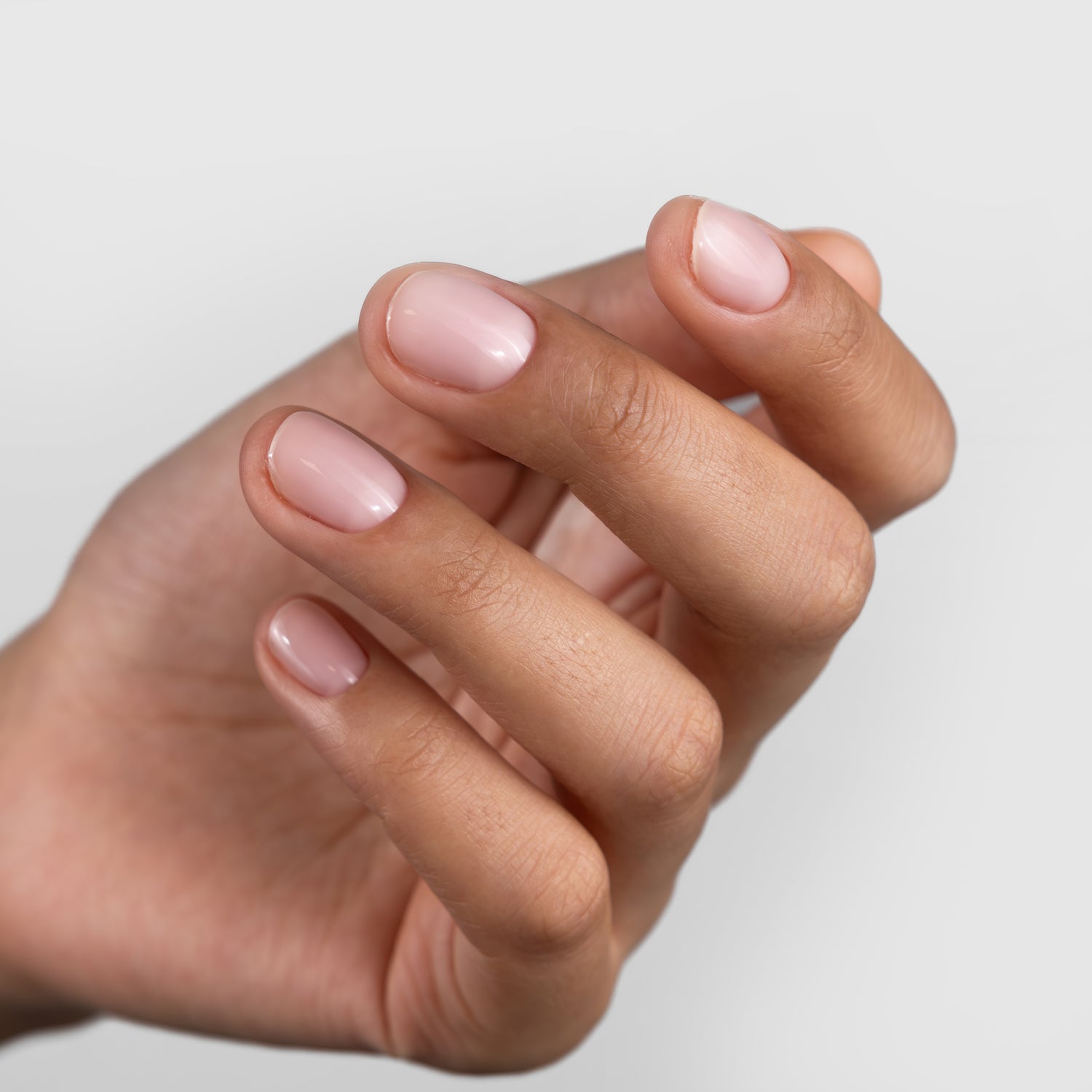 GUMMY BASE, TARTALETTE